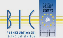 BIC logo